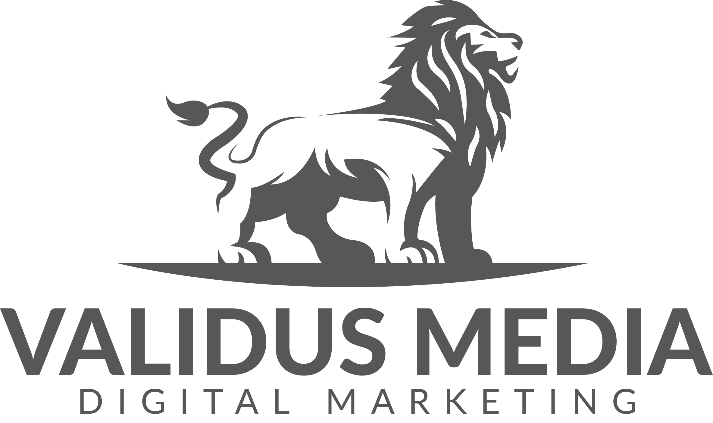 Validus Media Ltd